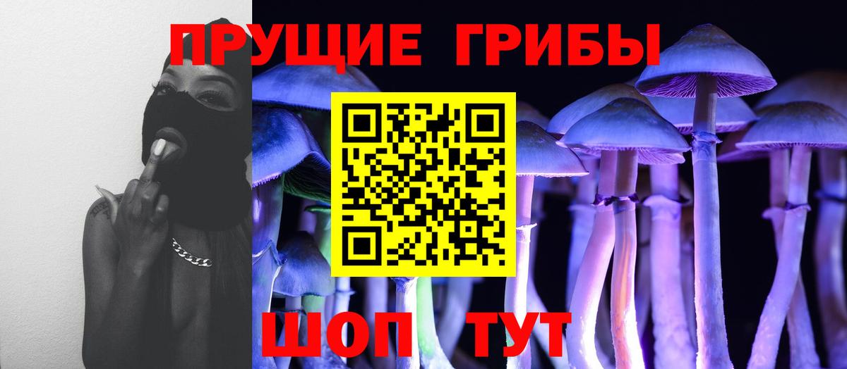 где можно купить наркотик  Псилоцибиновые грибы MAGIC MUSHROOMS  Вход с VPN  Ростов Великий  Галлюциногенные грибы Magic Shrooms 